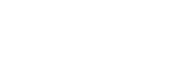 Botol Anggun